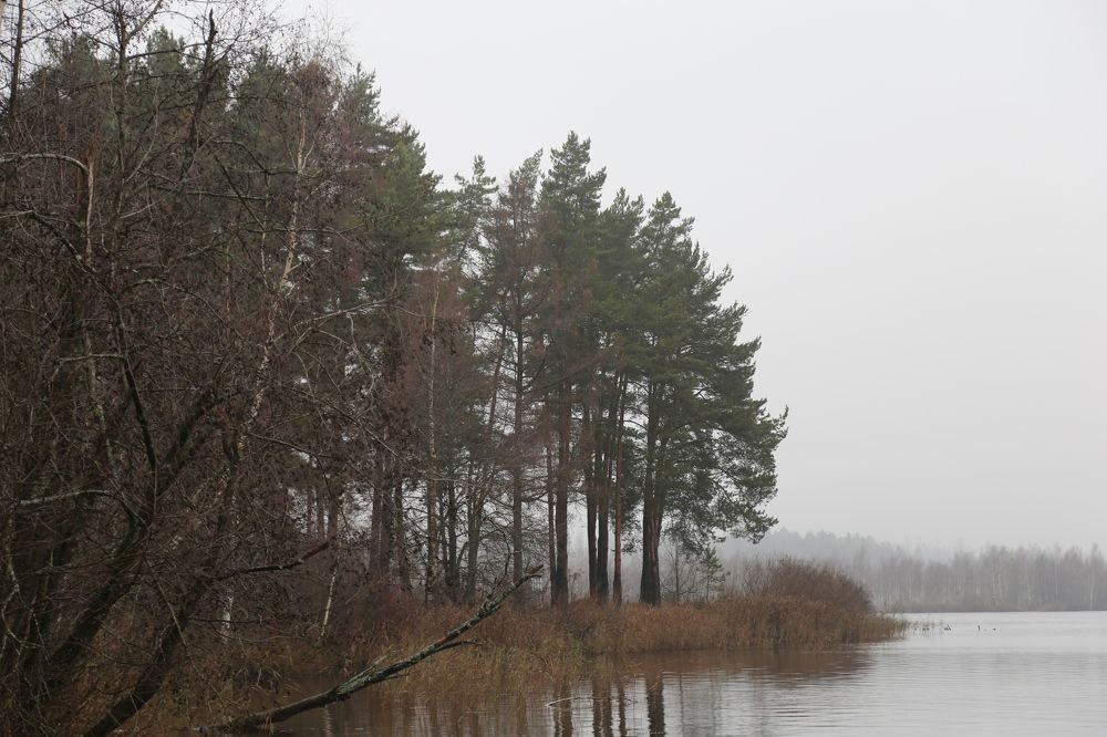 Photograph by Дарья Григорьева