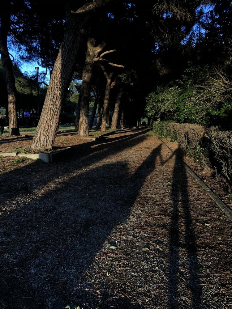 Photograph by Hutusoru Roberto