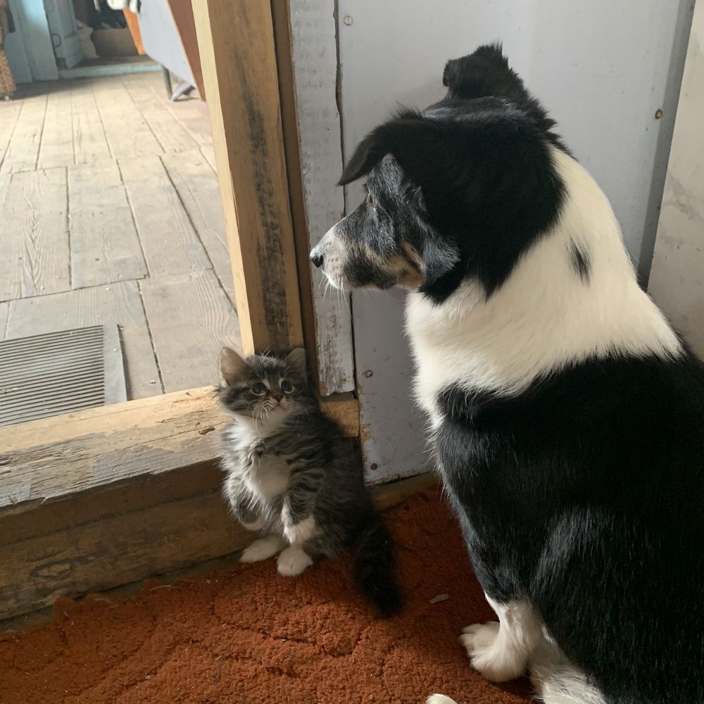 Photograph by Анастасия