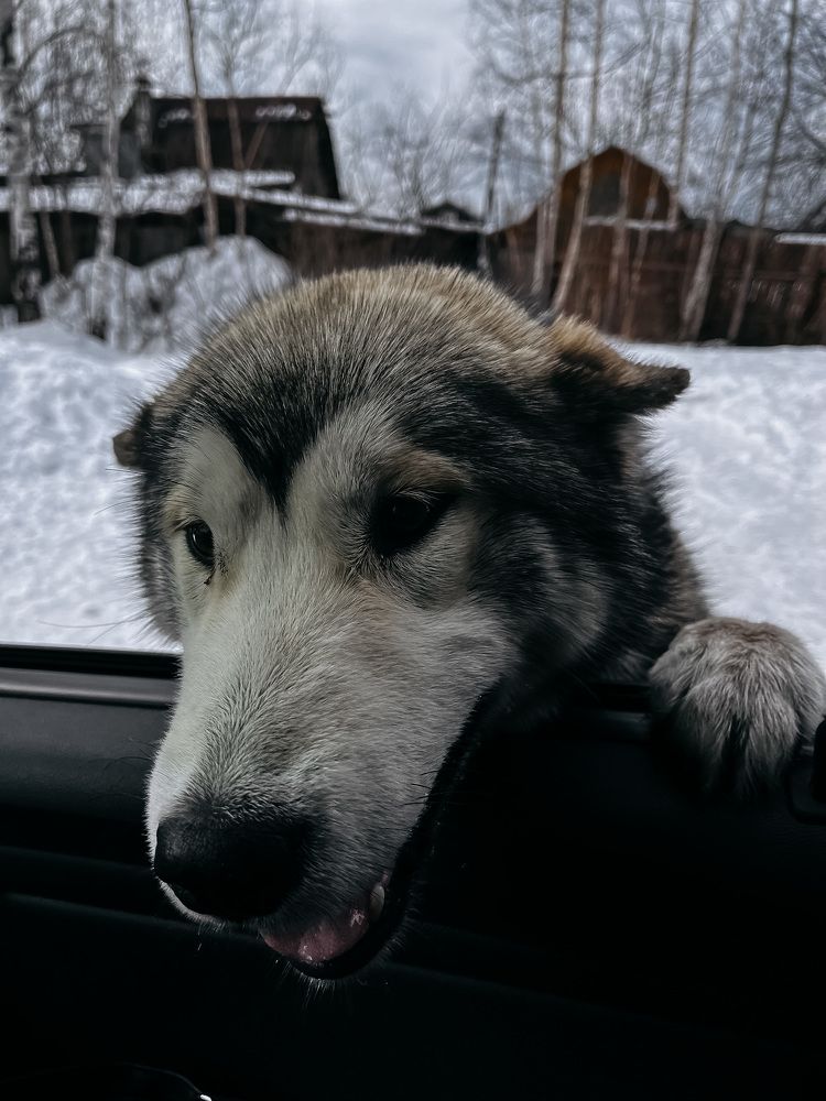 Photograph by Анастасия