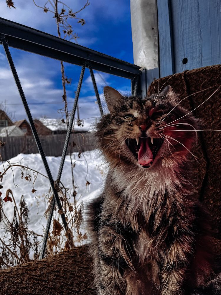 Photograph by Анастасия