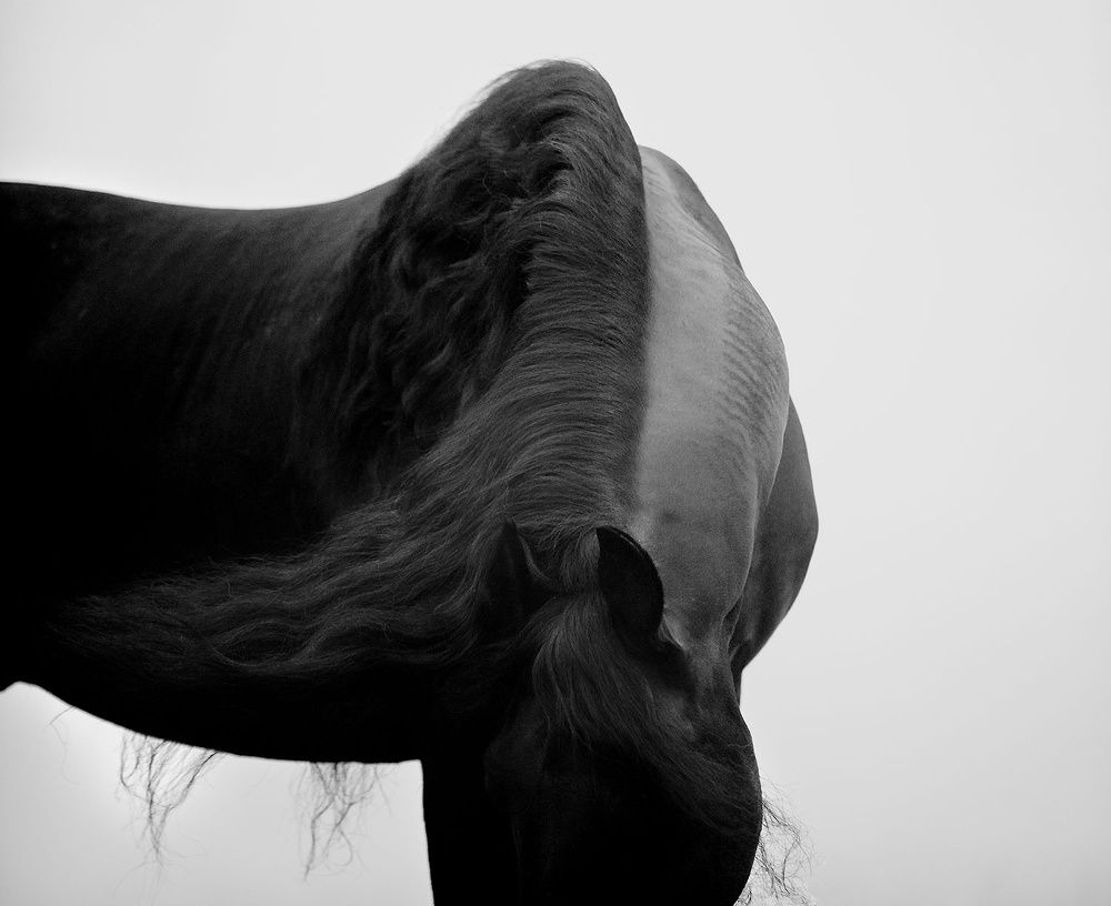 Photograph by Татьяна Немова