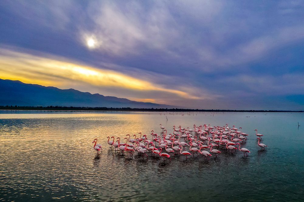 Photograph by mehdi mohebi pour