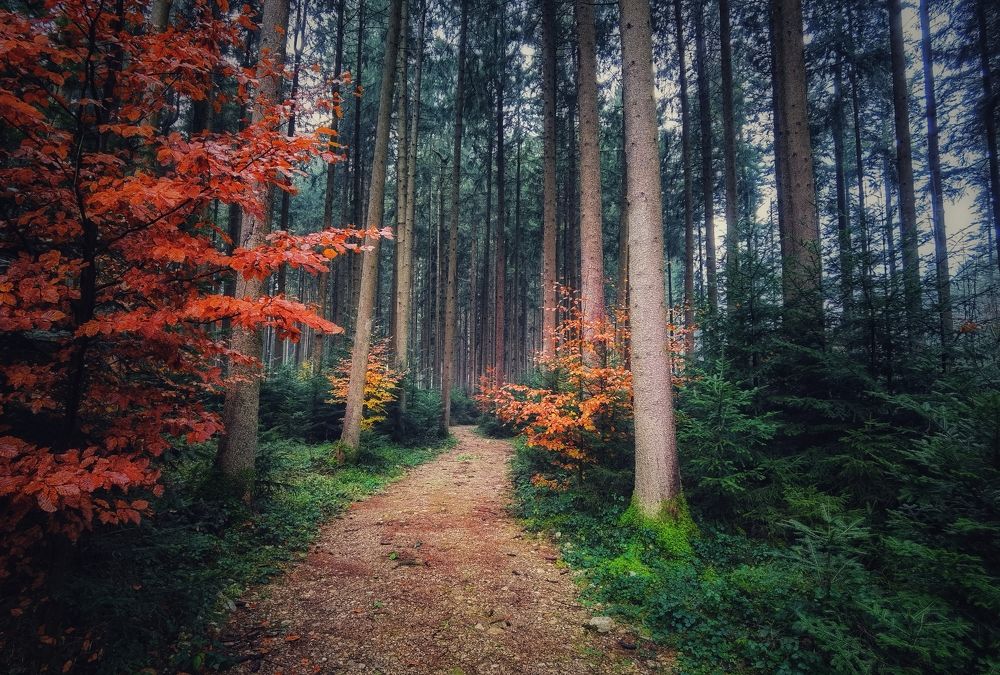 Photograph by Eva Wiedemann