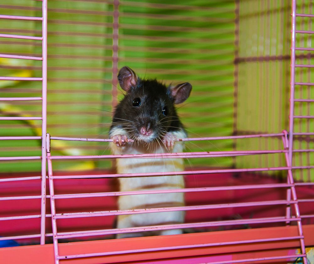 Photograph by Прохоров Денис