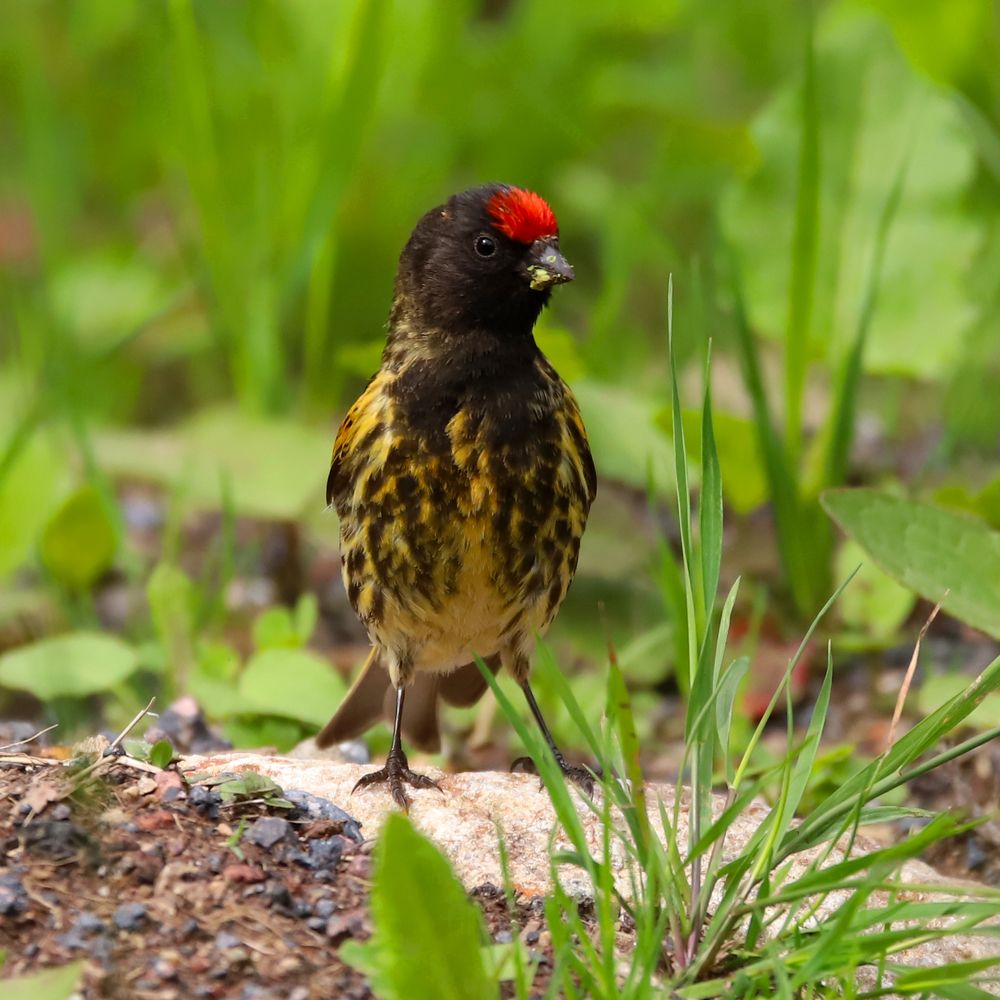 Photograph by Алексей