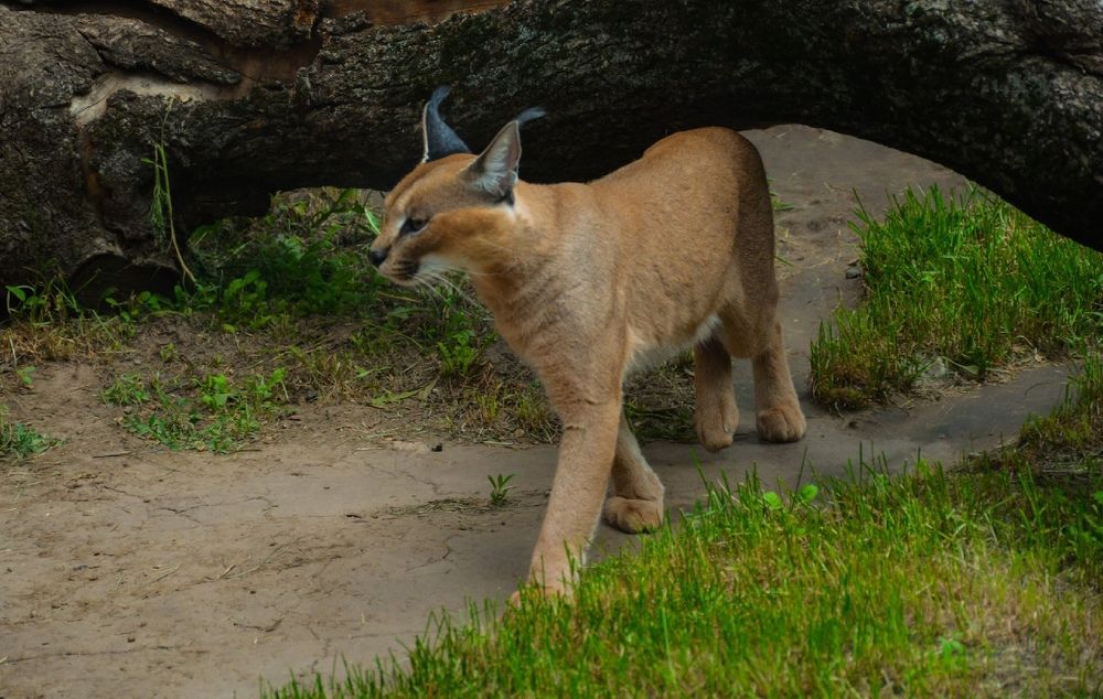 Photograph by Анастасия Тырыкина