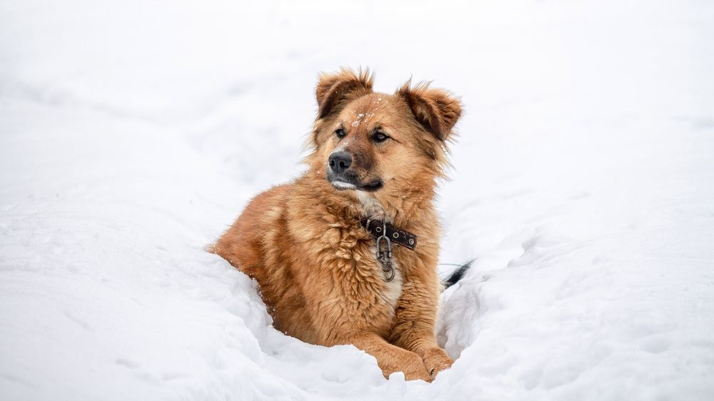 Photograph by Александр