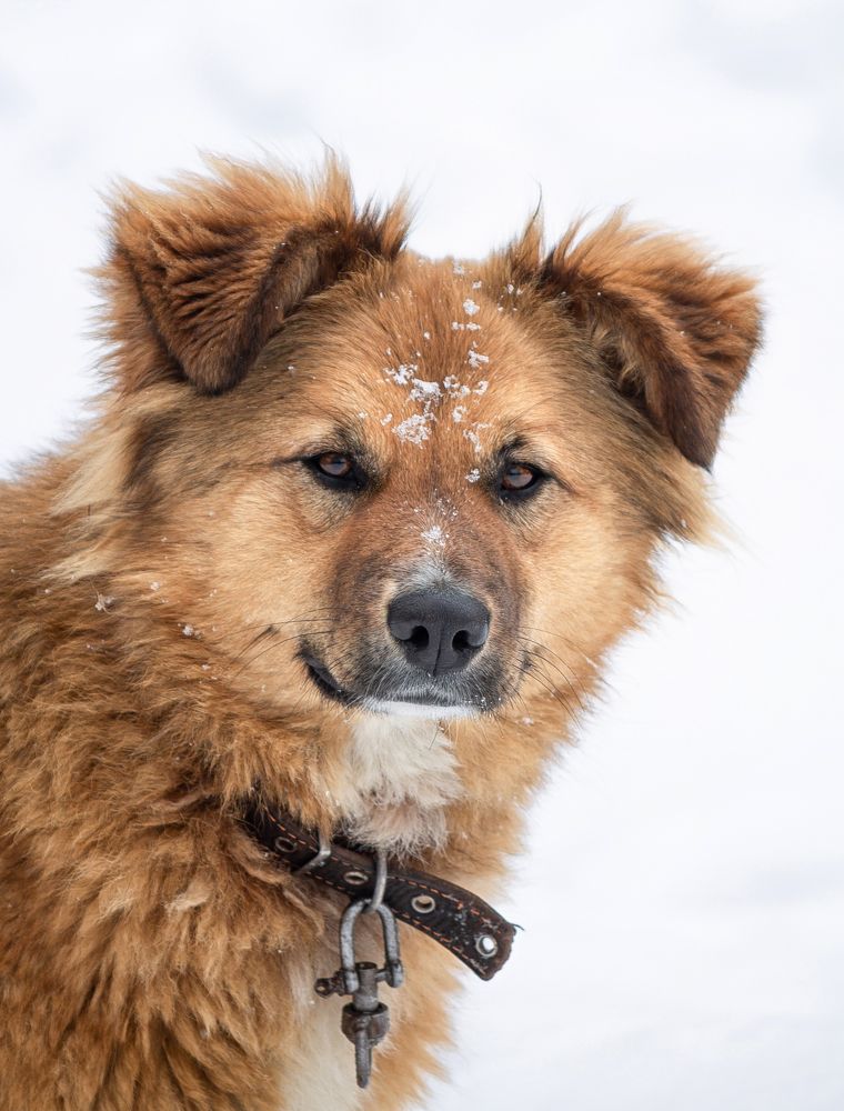 Photograph by Александр