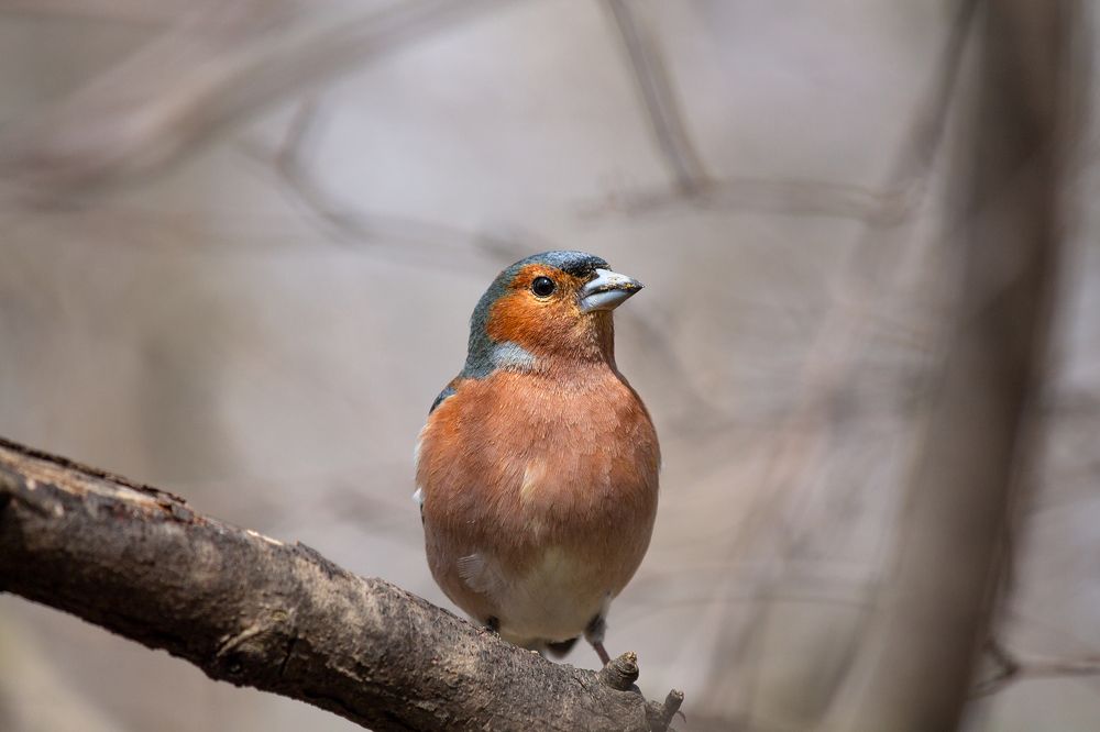 Photograph by Александр