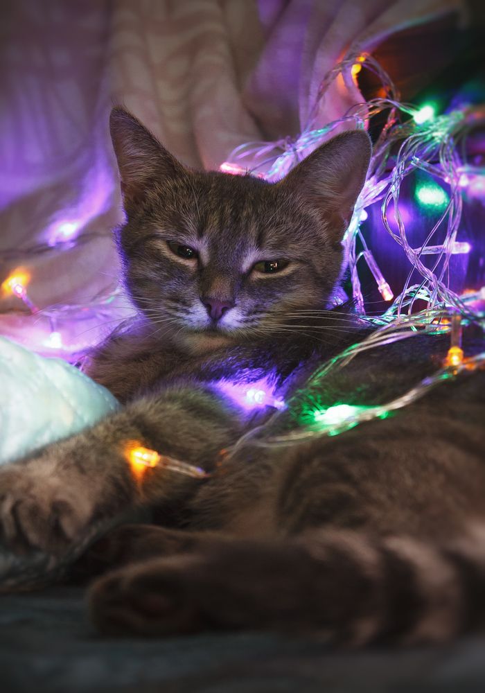 Photograph by Александр