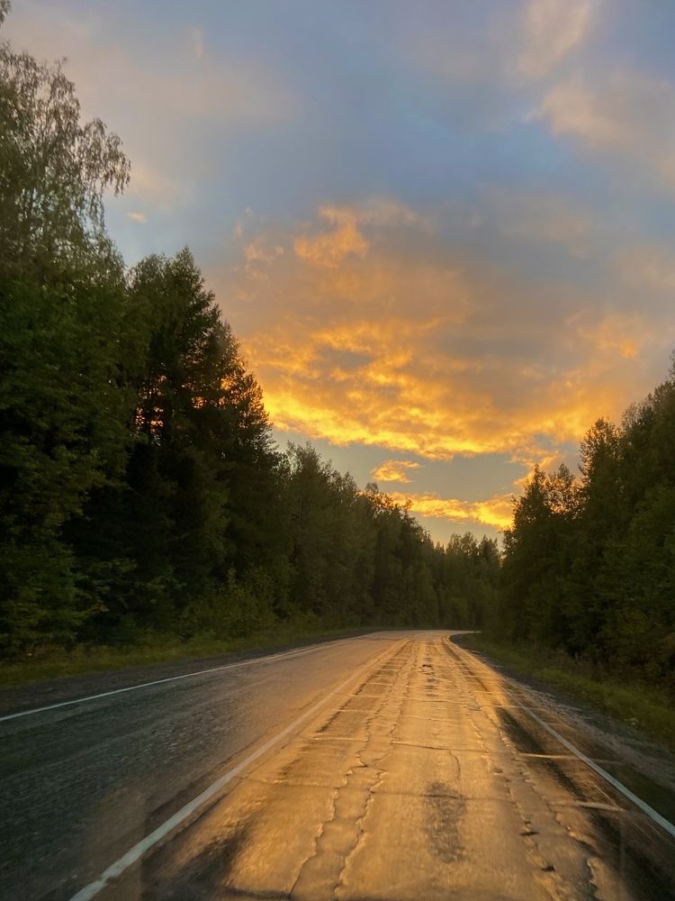 Фотография автора Елена Рогатнева