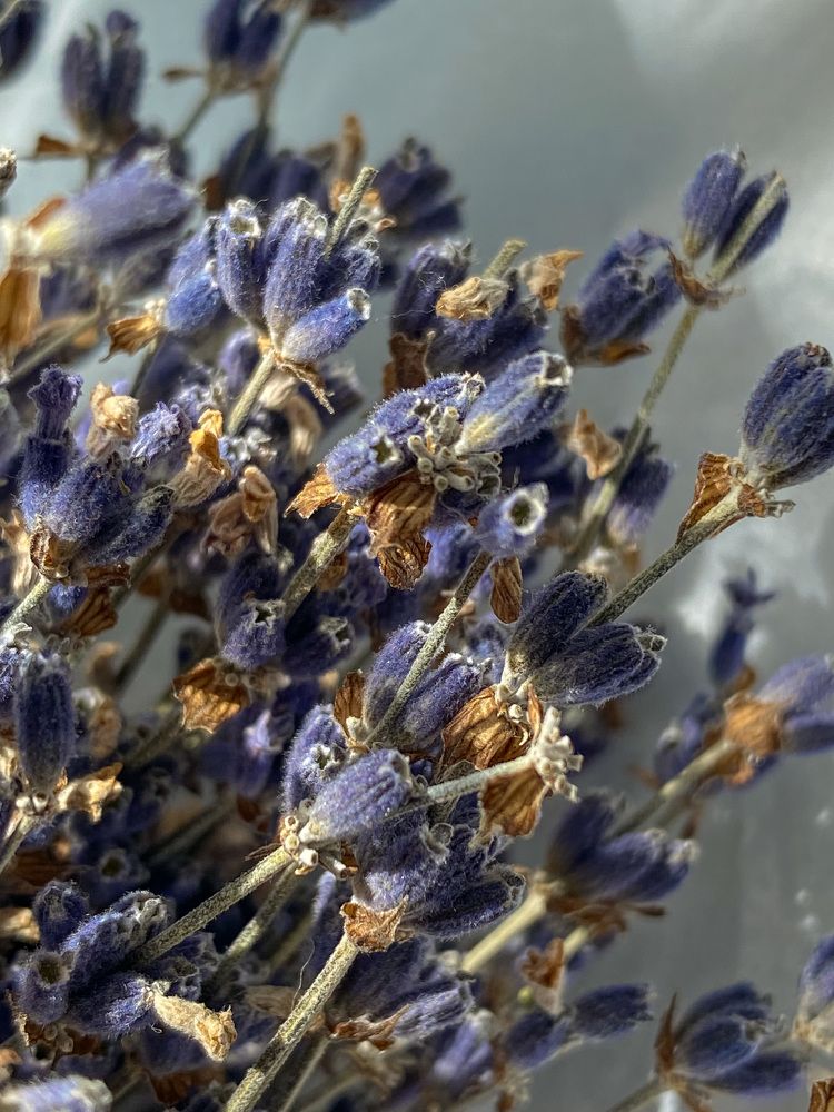 Photograph by индира губайдуллина