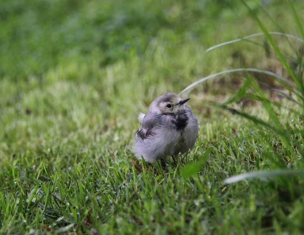 Photograph by Андрей Головин
