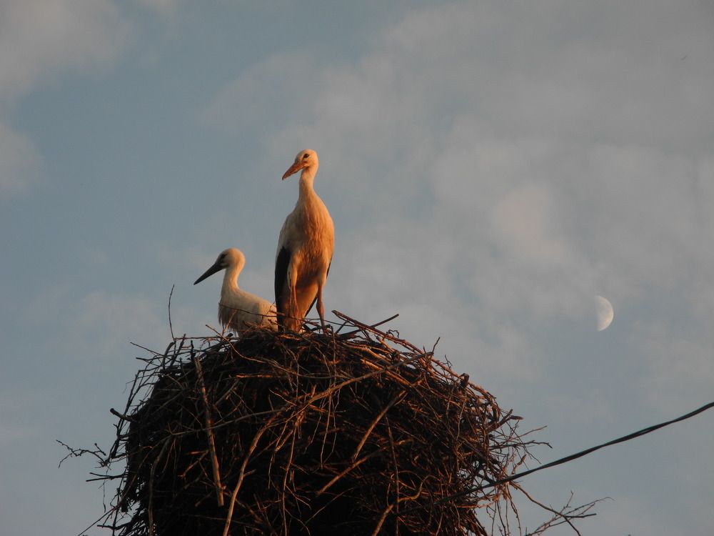 Photograph by Андрей Головин