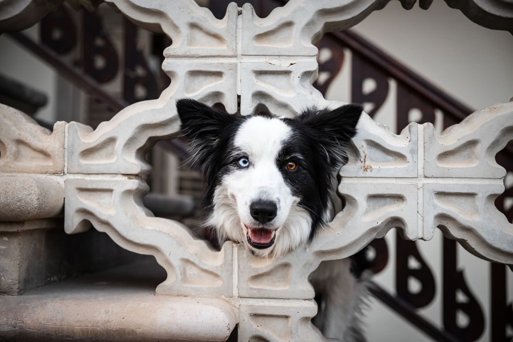 Photograph by Timur Korotkov