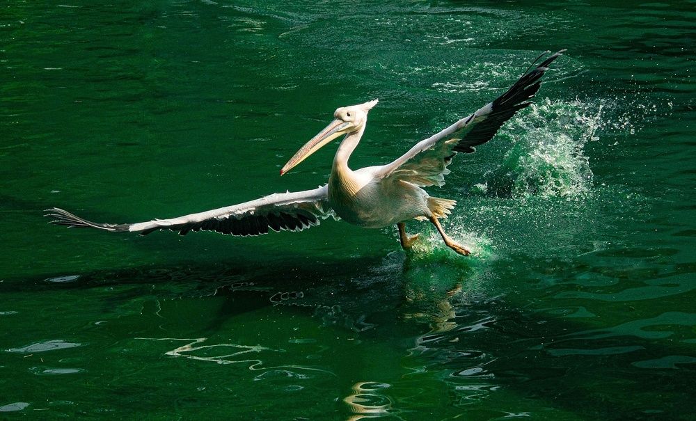 Photograph by Ayush tripathi
