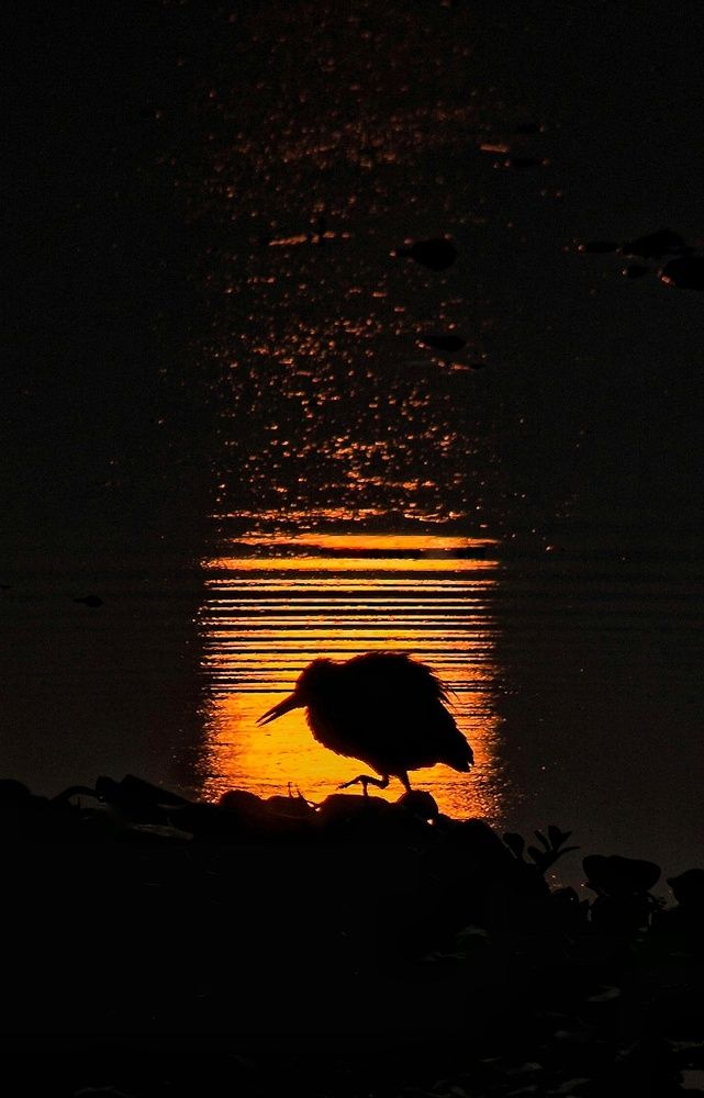 Photograph by Ayush tripathi