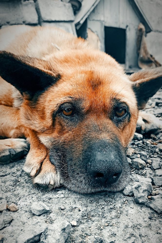 Photograph by Ольга Казакова