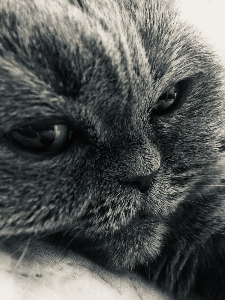 Photograph by Алена Жирова