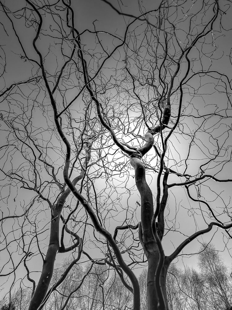 Photograph by Александр Разумов