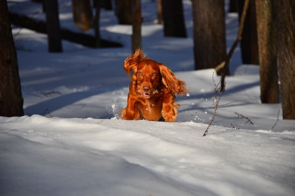 Photograph by Дмитрий Юдин