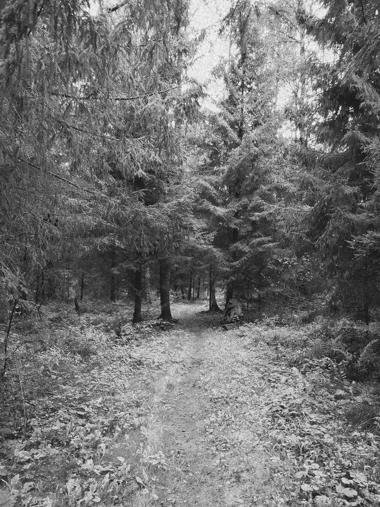Photograph by Ivan Potapov