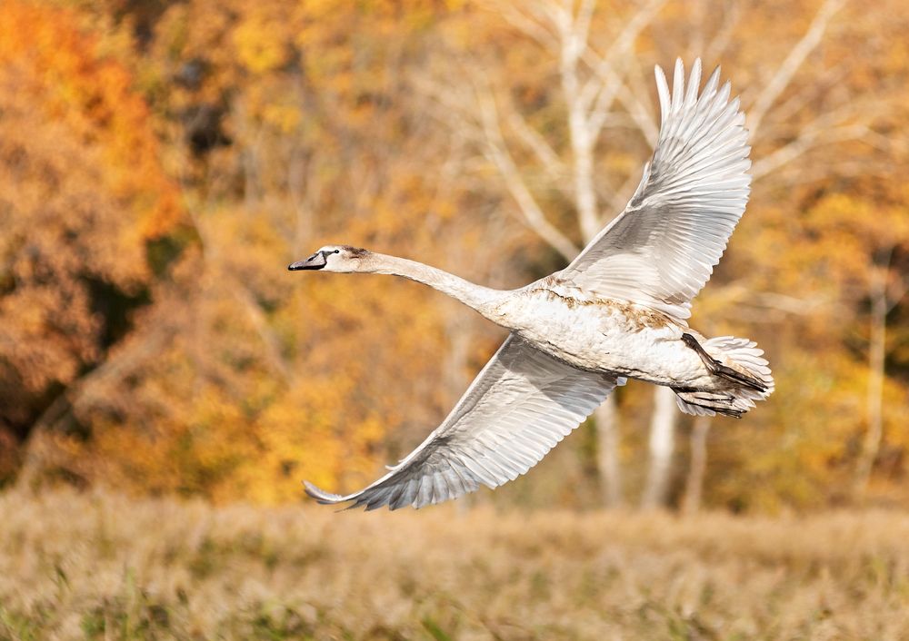 Photograph by Сергей Степанов