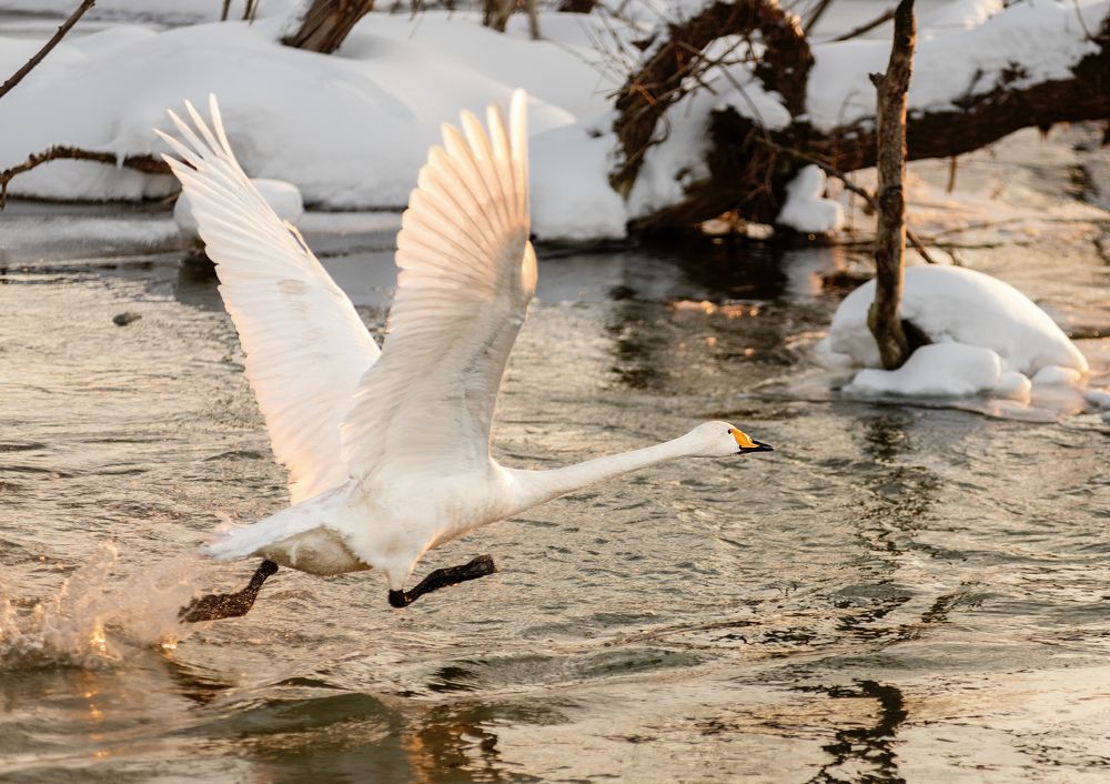 Photograph by Сергей Степанов