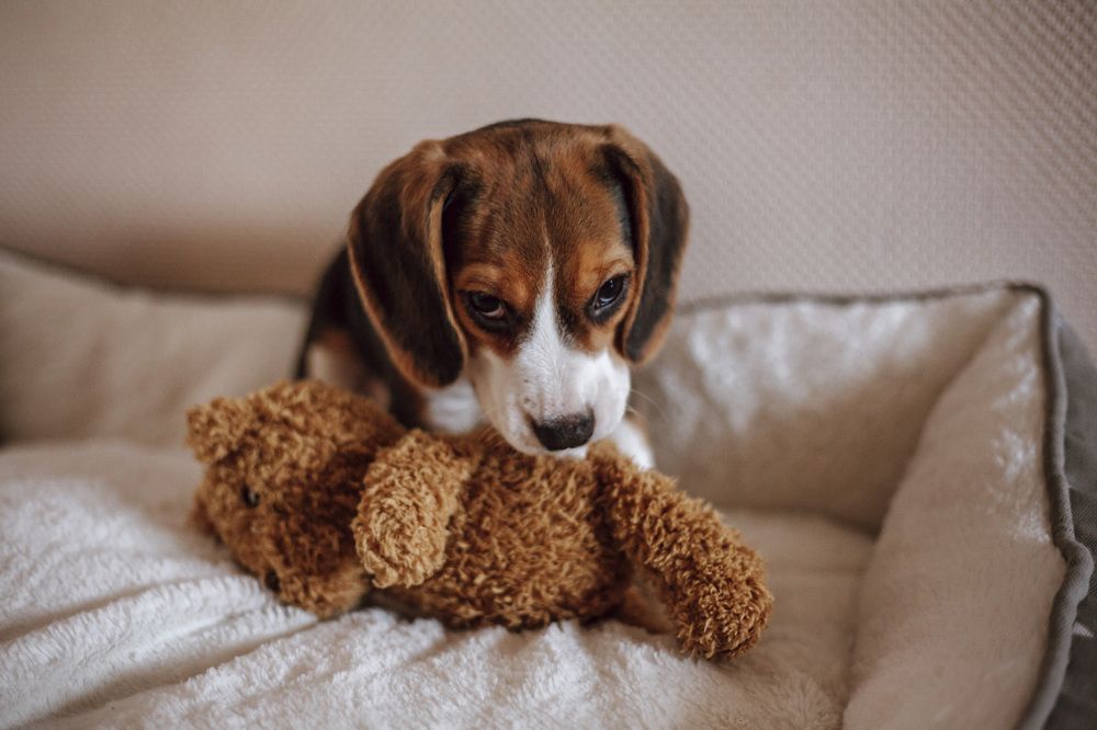 Photograph by Галина Фролова