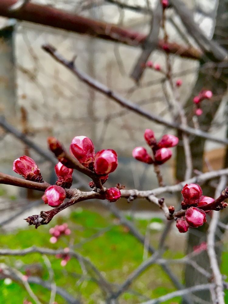 Фотография автора Алянур Юлдашева