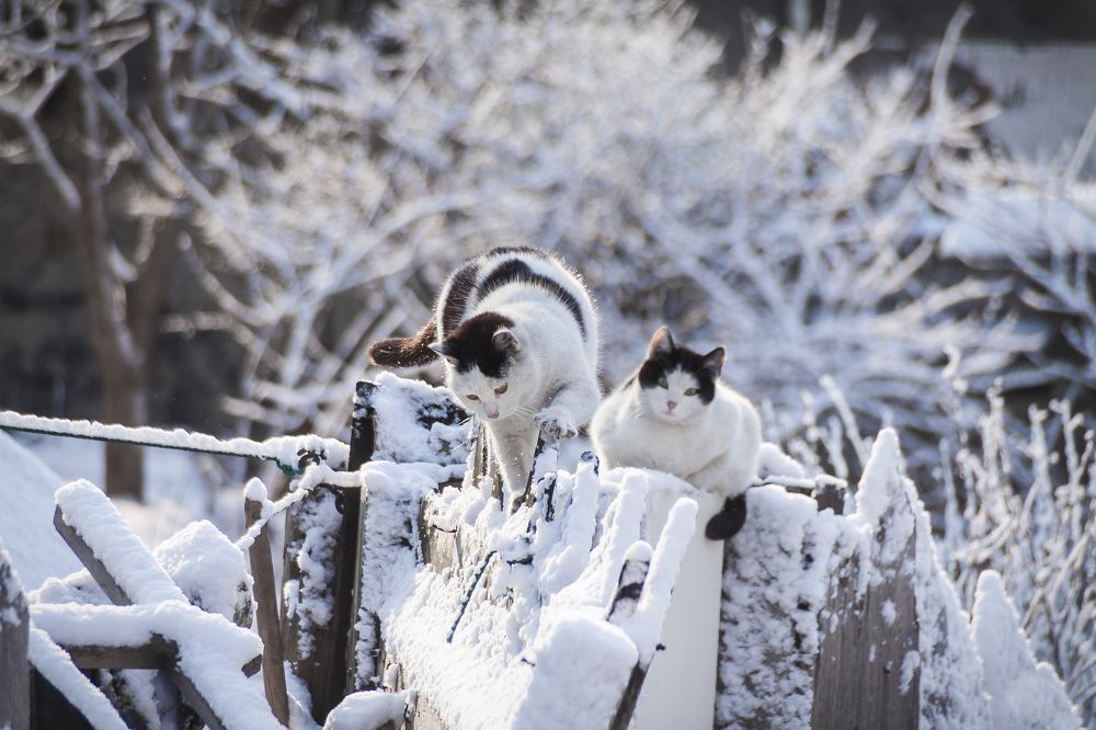 Photograph by Андрей Михайлов