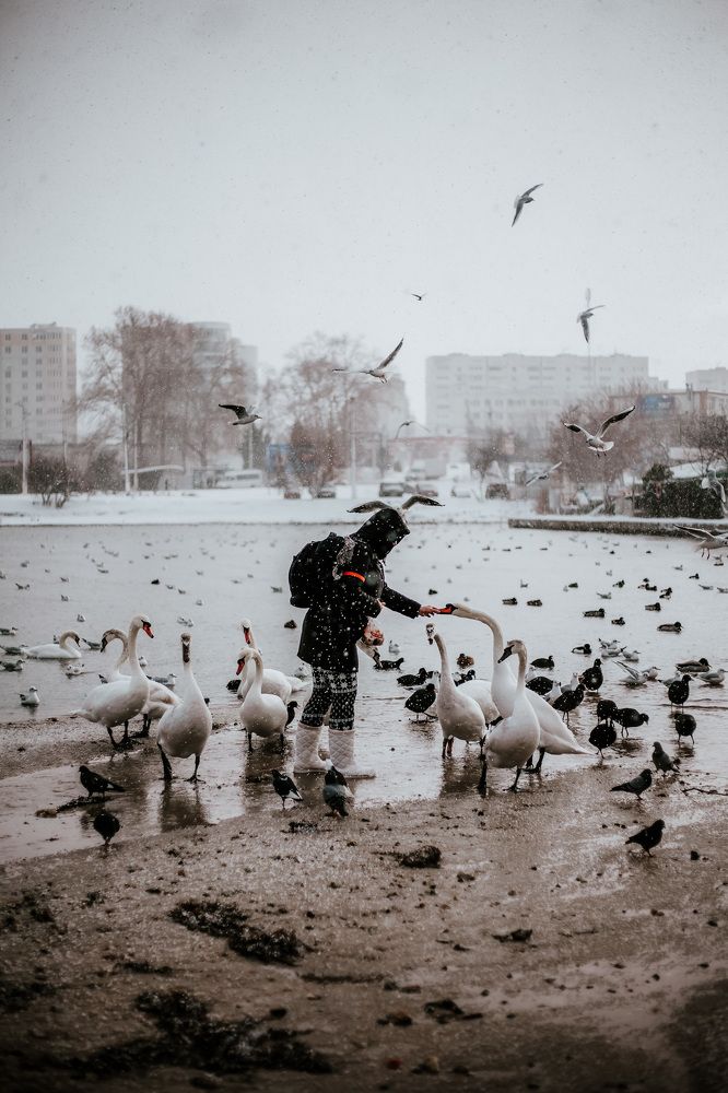 Photograph by Галина Фролова