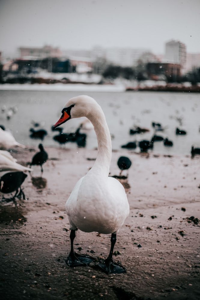 Photograph by Галина Фролова