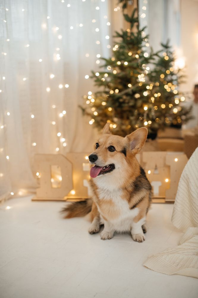 Photograph by Евгения Белоцкая