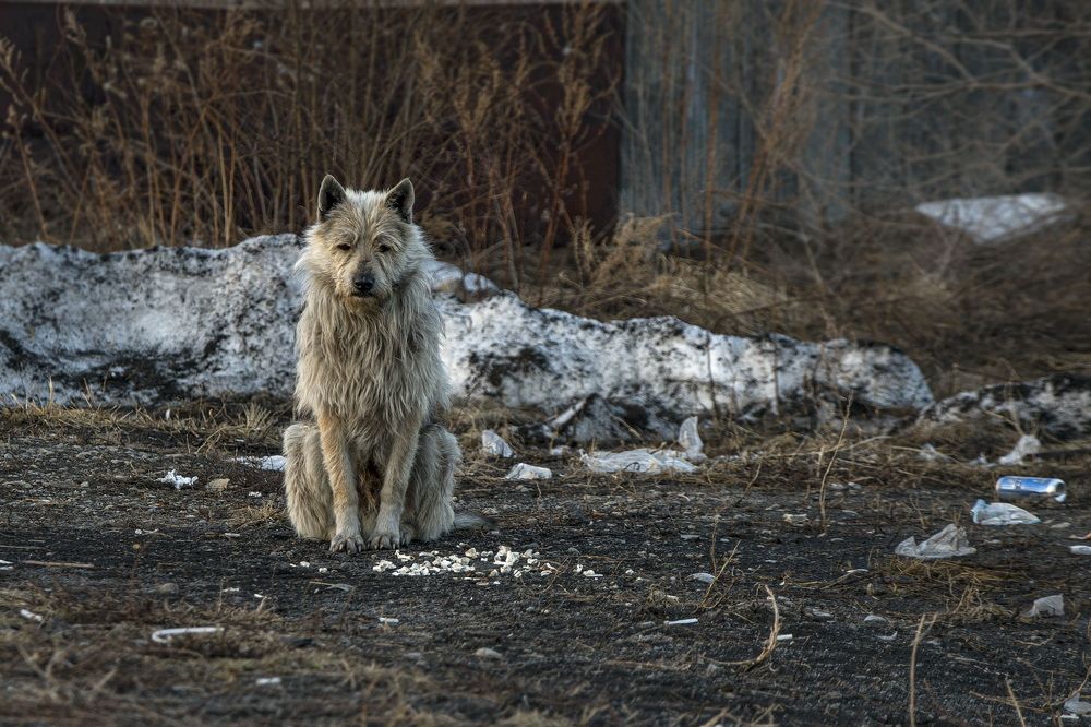 Photograph by Елена Ласун
