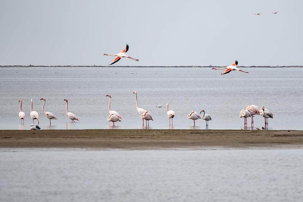 Photograph by Alejandro Suwezda