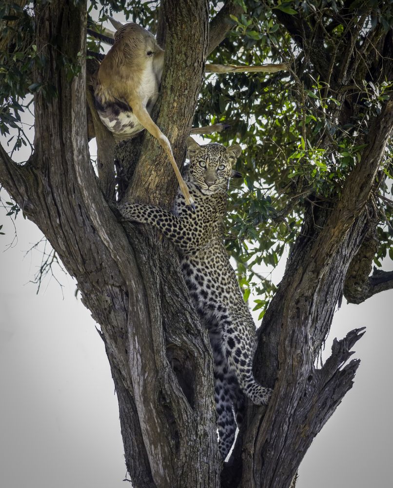 Photograph by Ruzdi Ekenheim