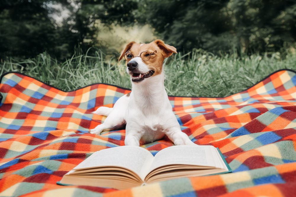 Фотография автора Татьяна Чапко