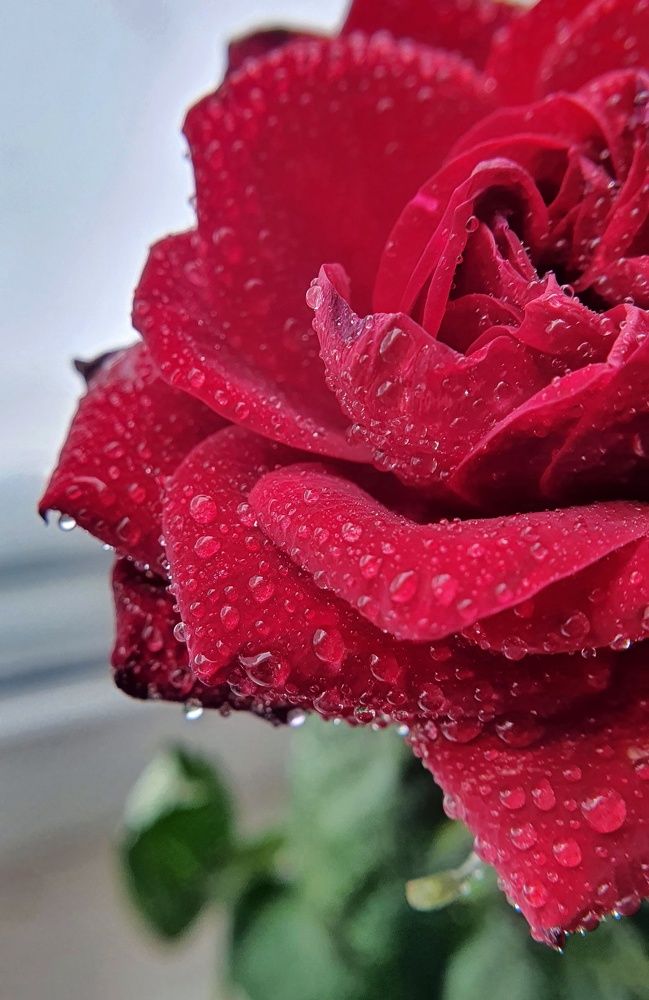 Photograph by Татьяна Мельникова