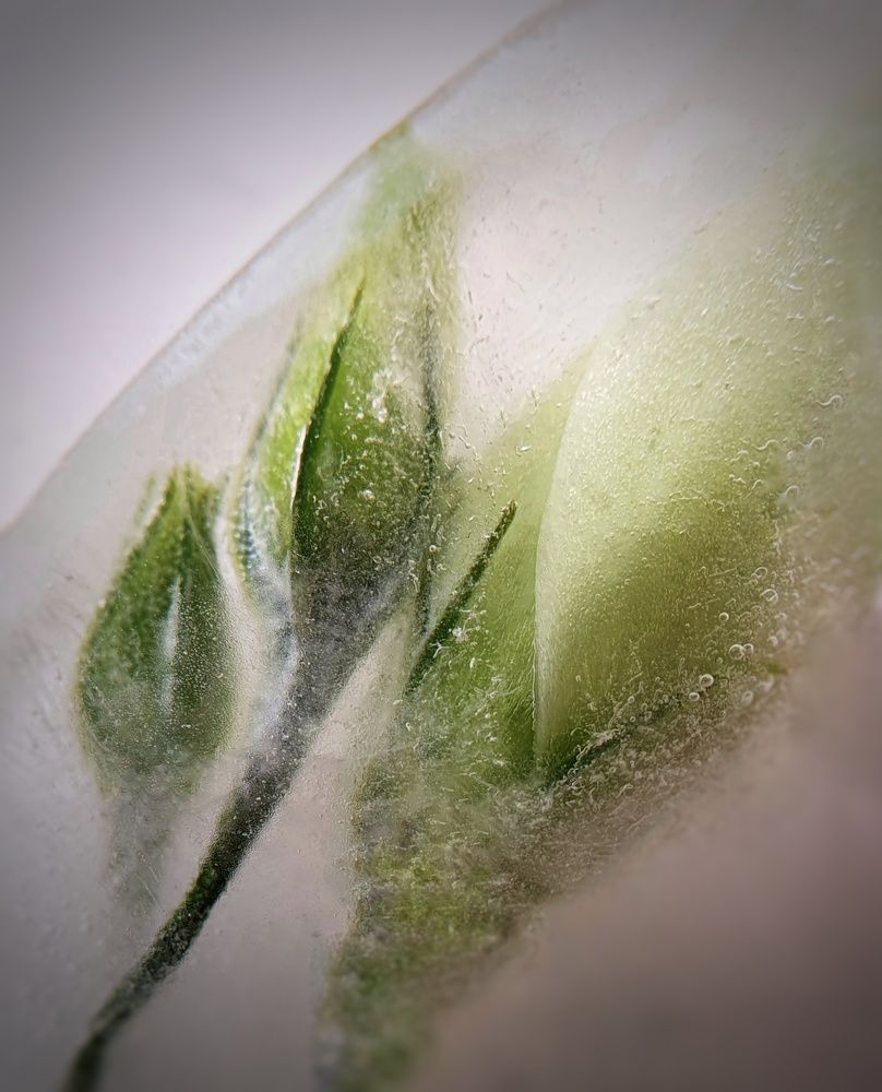 Photograph by Татьяна Мельникова