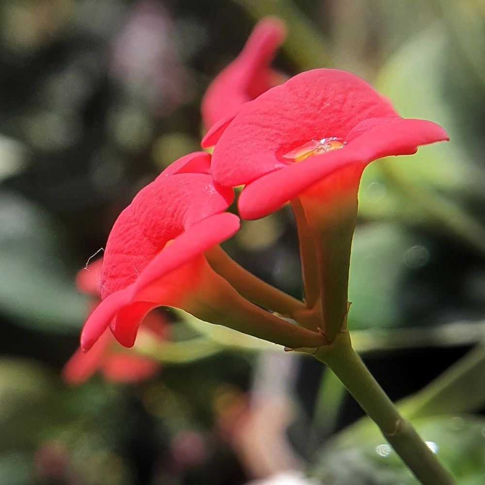 Photograph by Татьяна Мельникова