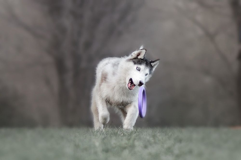 Фотография автора Мария Яропольская