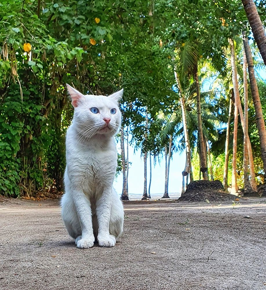 Photograph by Татьяна Мельникова