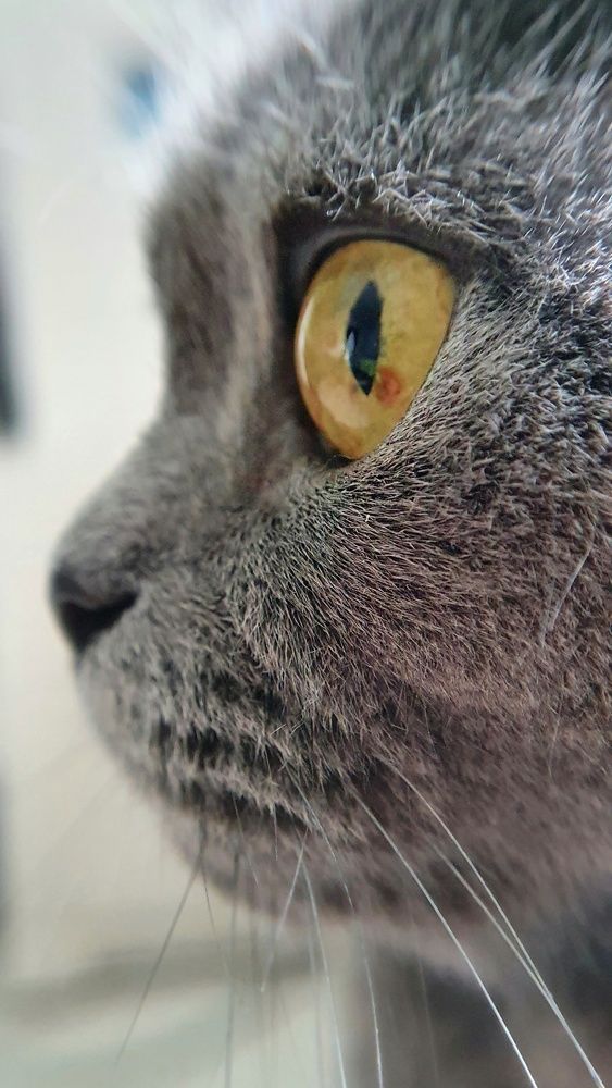 Photograph by Татьяна Мельникова