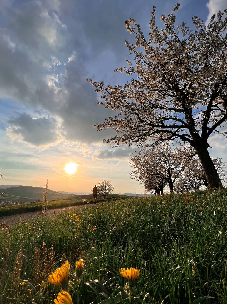 Photograph by Kate Blum