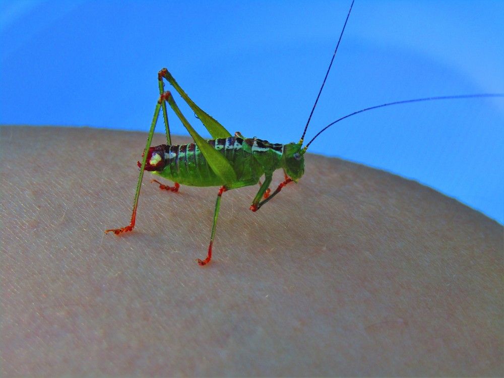 Photograph by Darko Milojevic