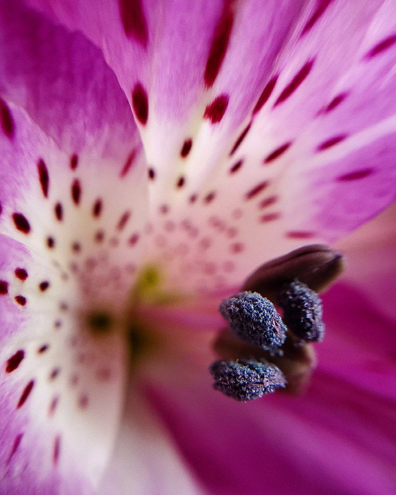 Photograph by Евгения Алексеева