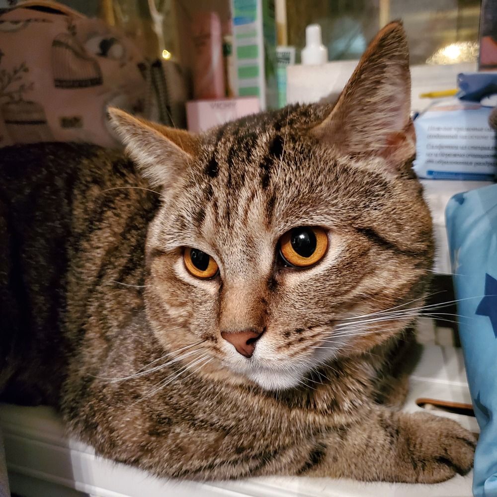 Photograph by Евгения Алексеева