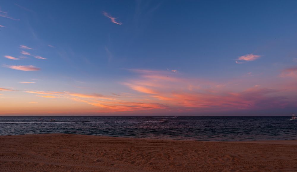 Photograph by Armando Lopez-Guerrero